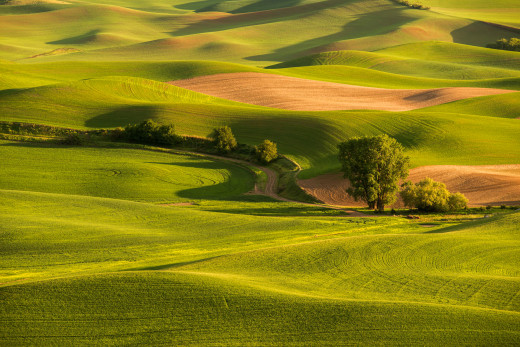 855081 (a): :1920x1281